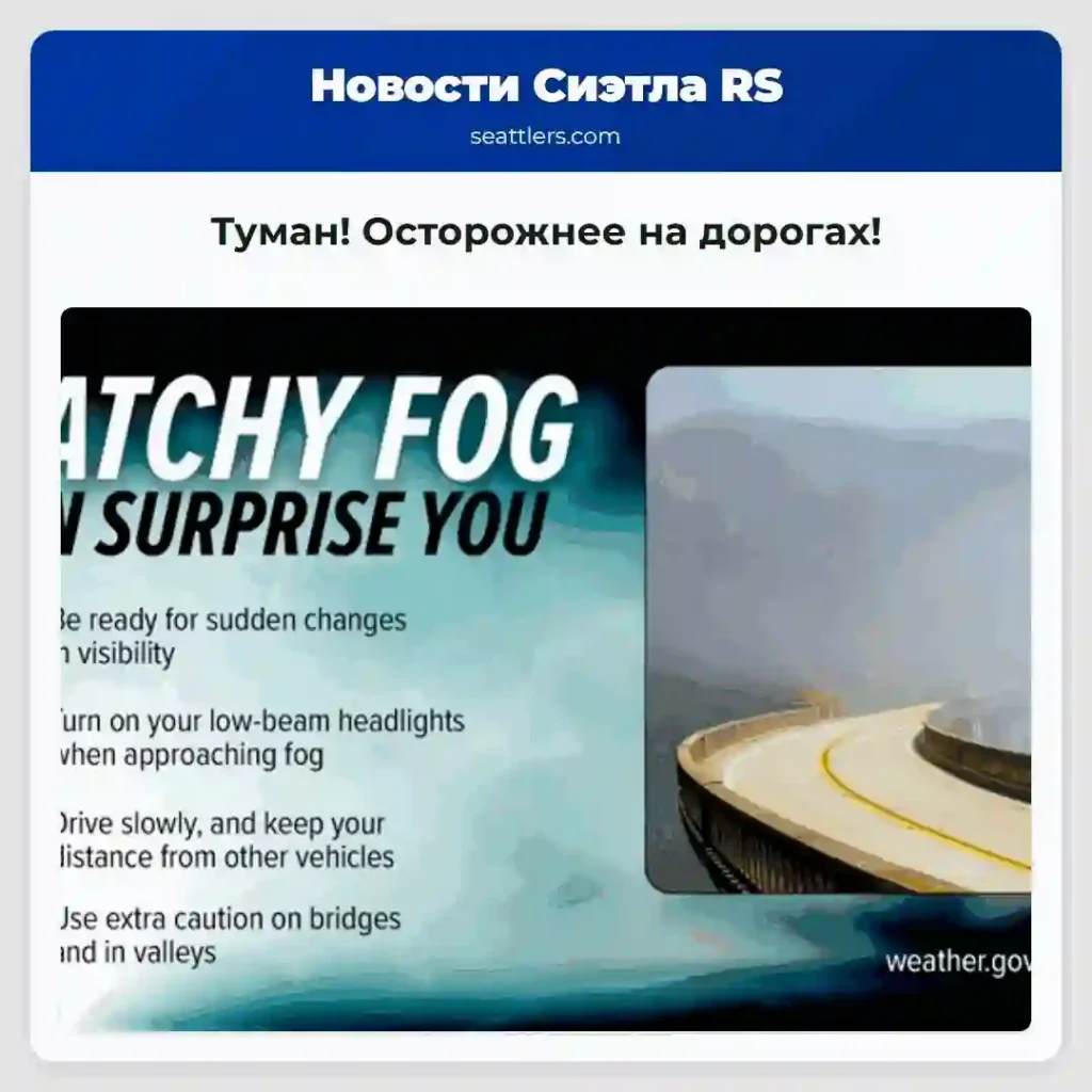 Туман! Осторожнее на дорогах!