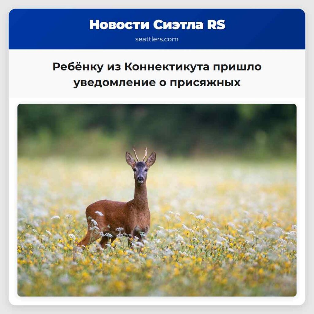 Ребёнку из Коннектикута пришло уведомление о