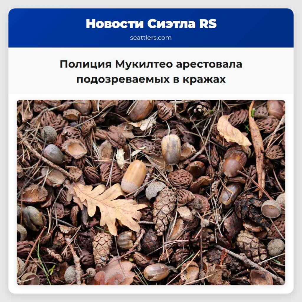 Полиция Мукилтео арестовала подозреваемых в кражах