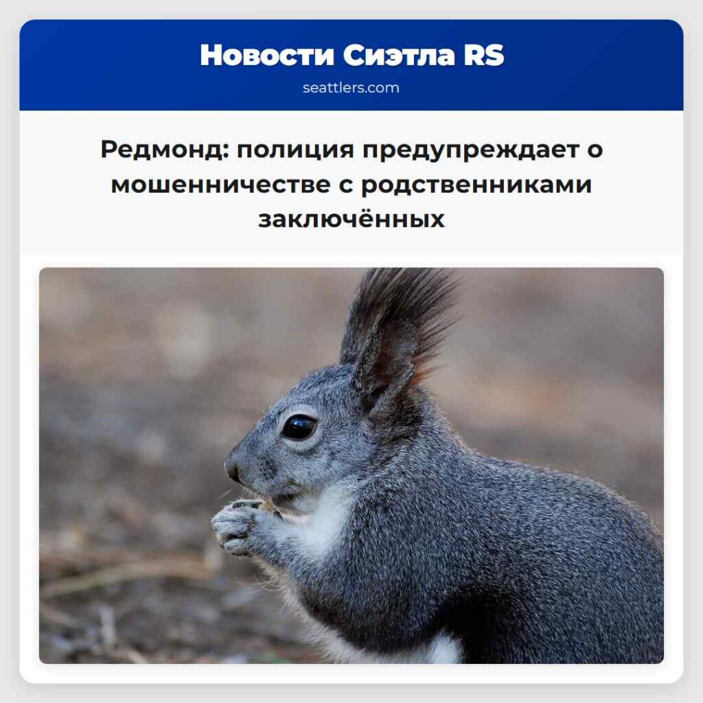 Редмонд: полиция предупреждает о мошенничестве с