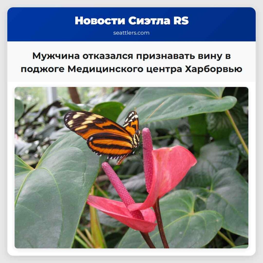 Мужчина отказался признавать вину в поджоге