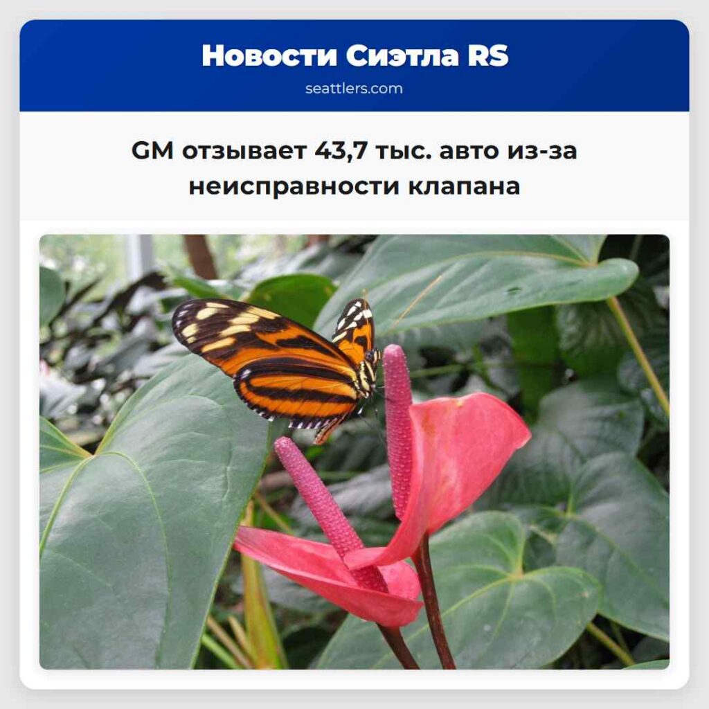 GM отзывает 43,7 тыс. авто из-за неисправности