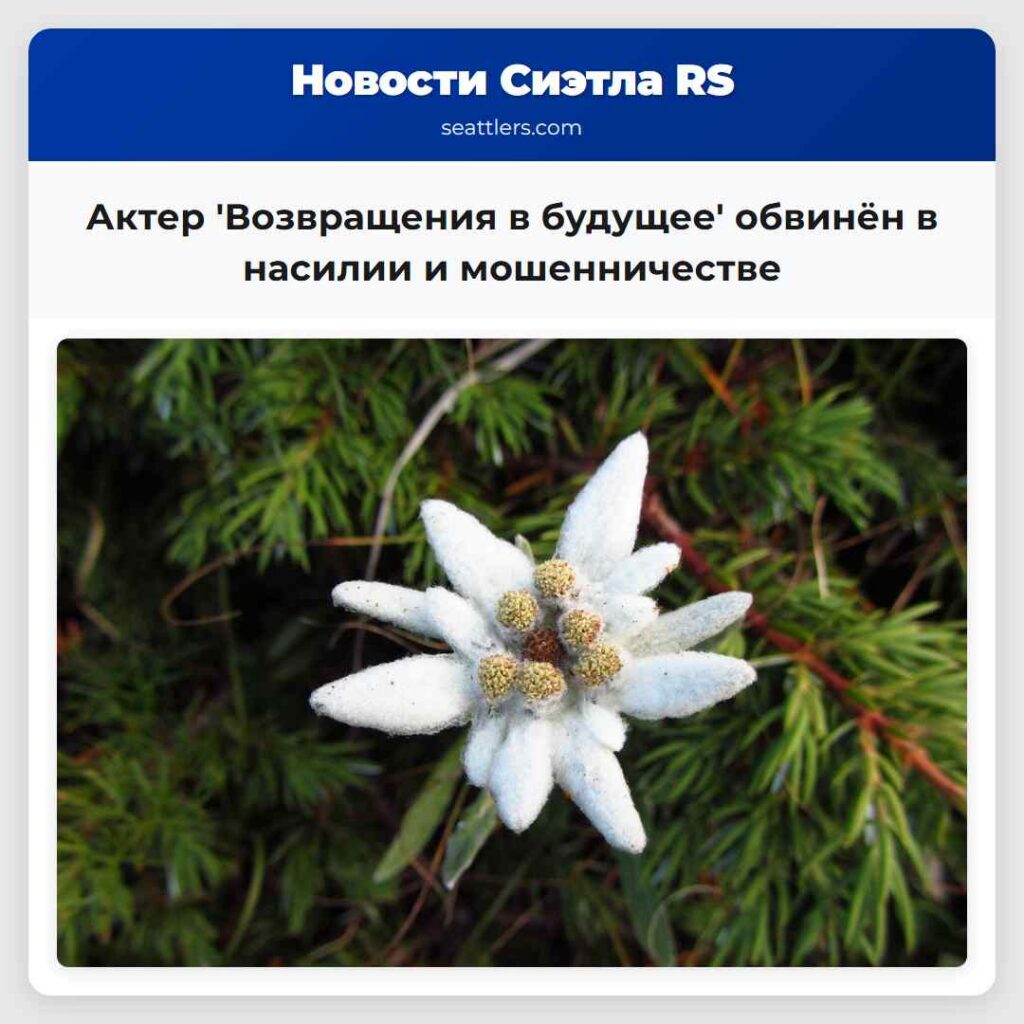 Актер 'Возвращения в будущее' обвинён в насилии и