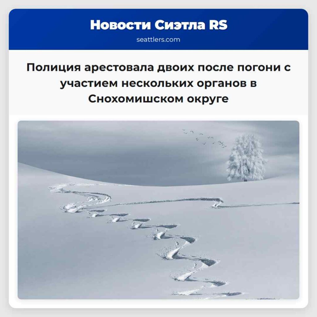 Полиция арестовала двоих после погони с участием