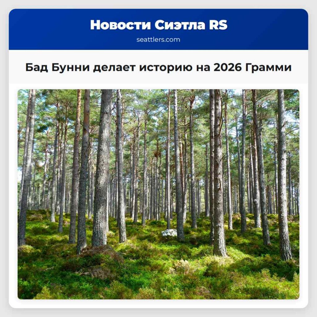 Бад Бунни делает историю на 2026 Грамми