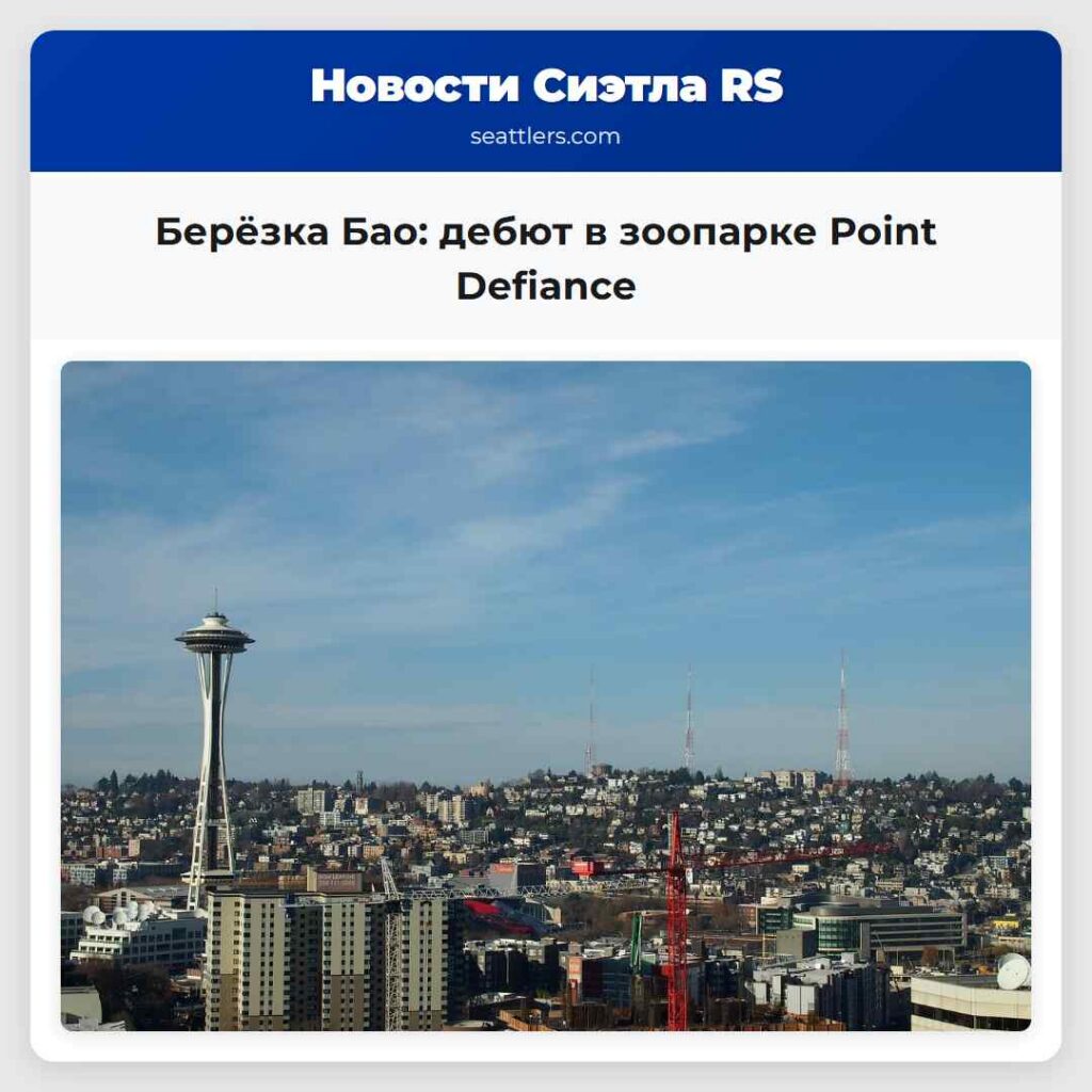 Берёзка Бао: дебют в зоопарке Point Defiance