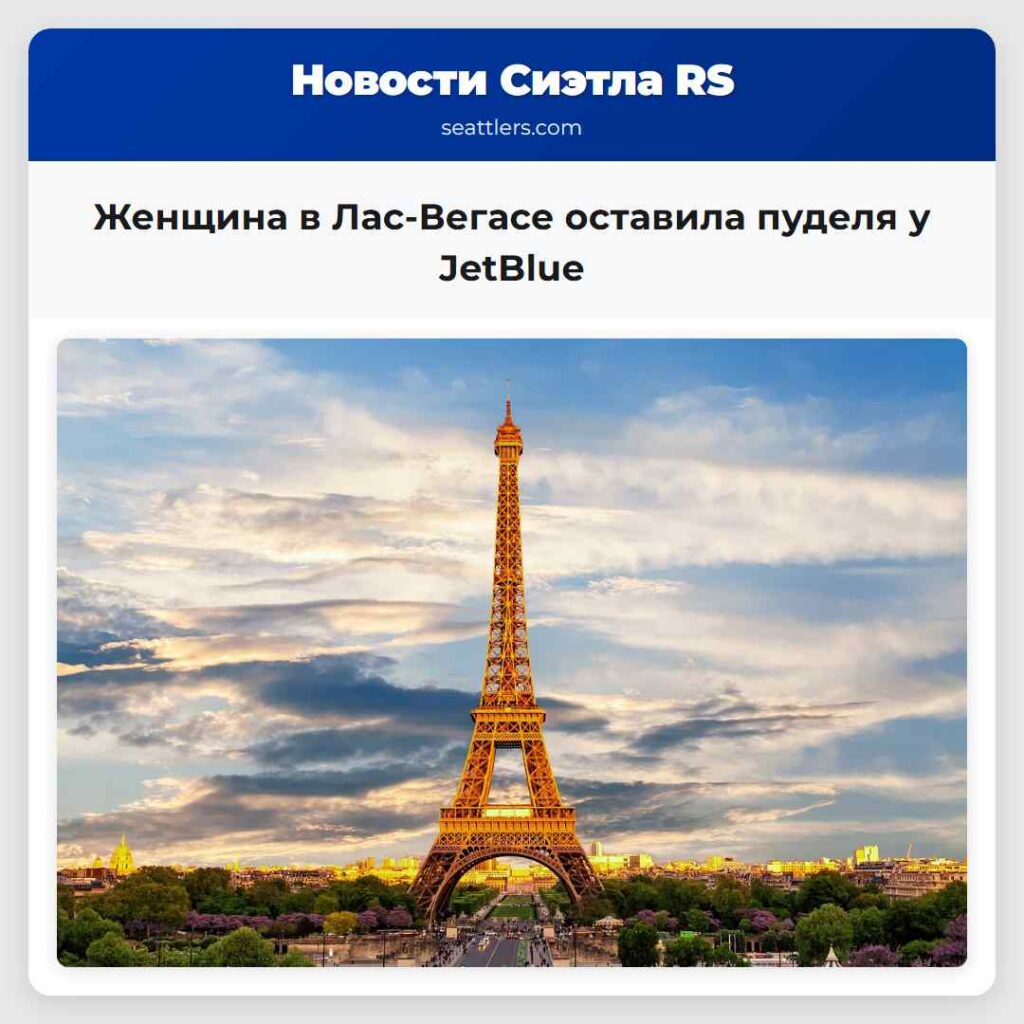 Женщина в Лас-Вегасе оставила пуделя у JetBlue