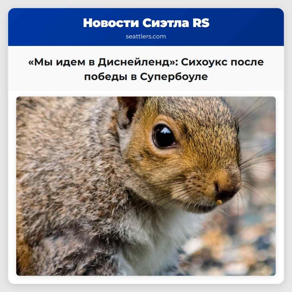 «Мы идем в Диснейленд»: Сихоукс после победы в