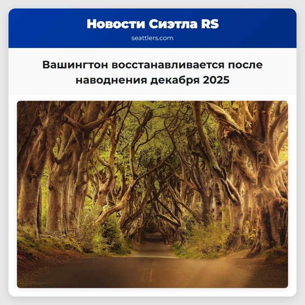 Вашингтон восстанавливается после наводнения