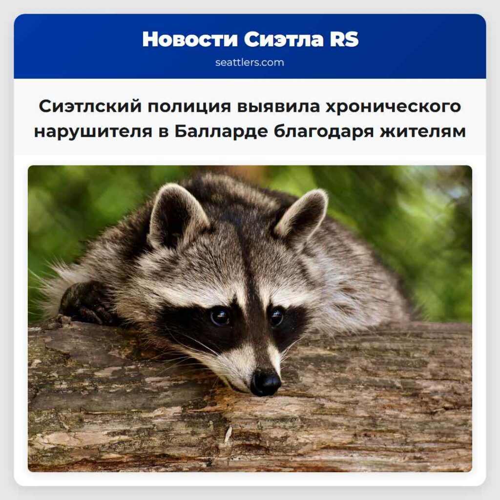 Сиэтлский полиция выявила хронического нарушителя