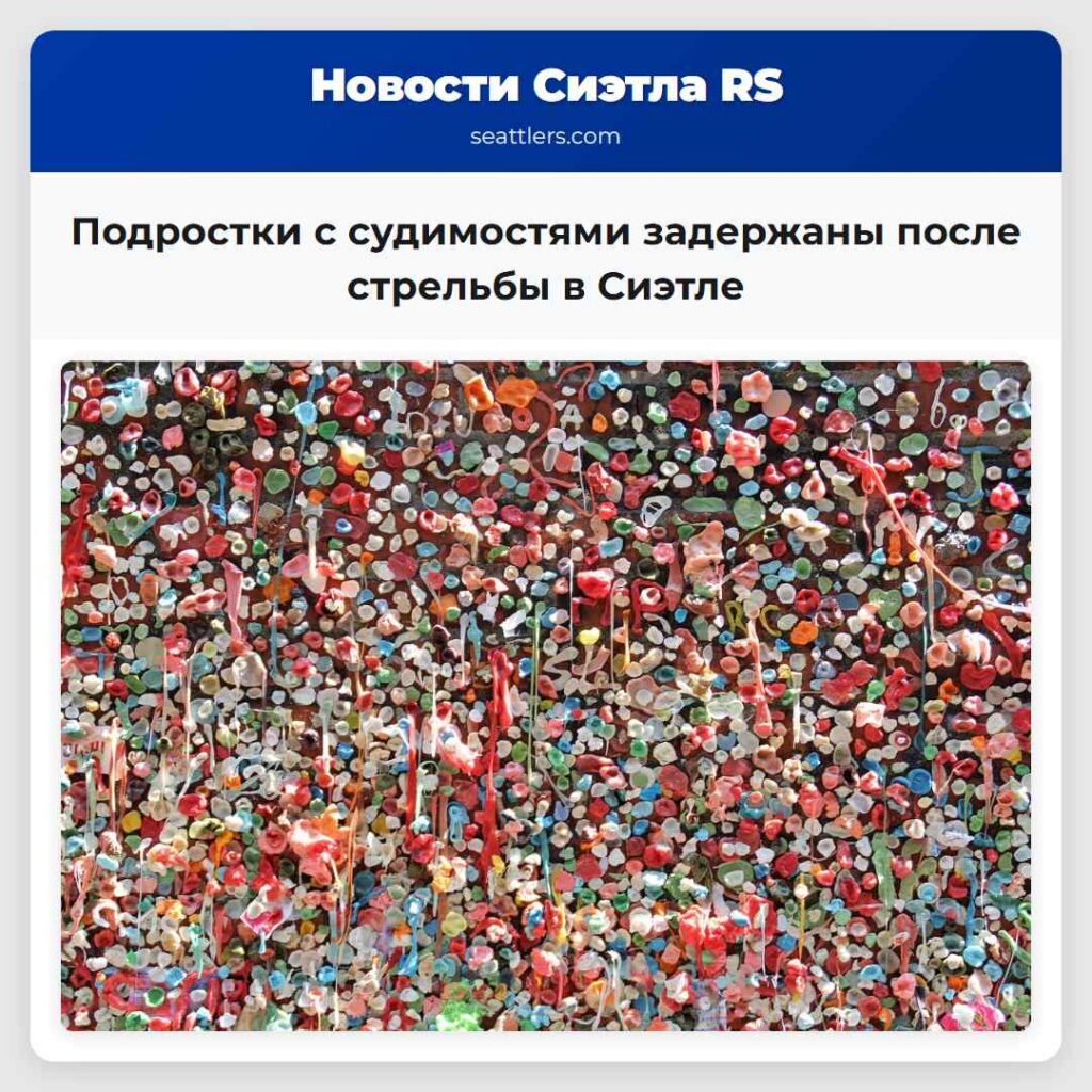 Подростки с судимостями задержаны после стрельбы