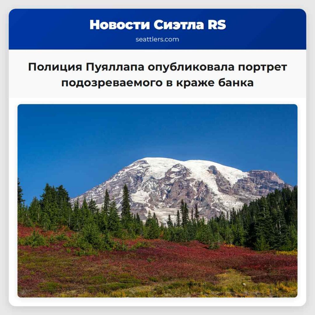 Полиция Пуяллапа опубликовала портрет