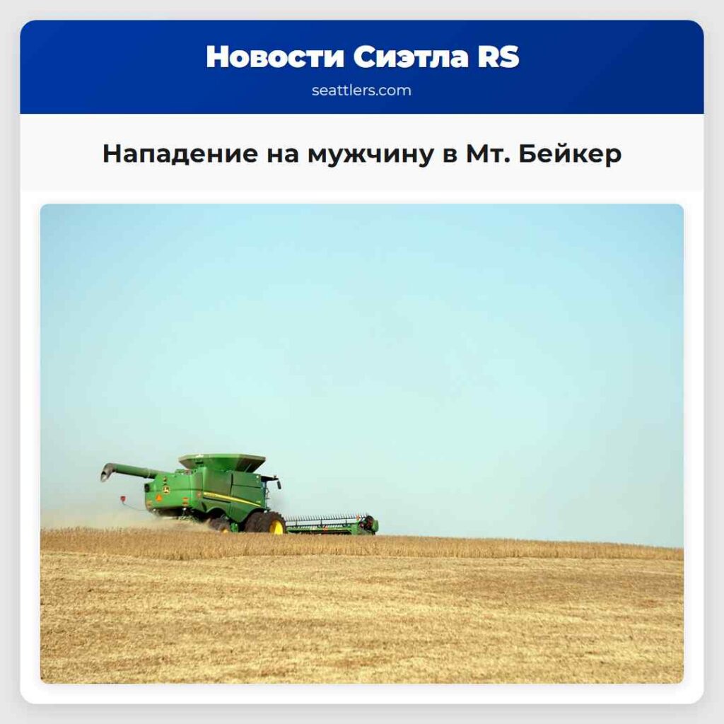 Нападение на мужчину в Мт. Бейкер