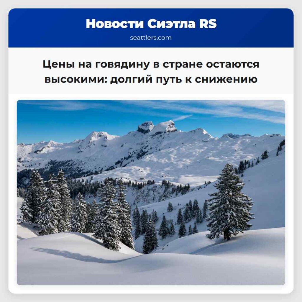 Цены на говядину в стране остаются высокими: