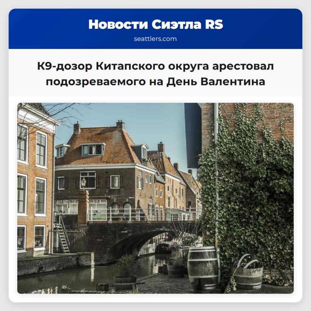 К9-дозор Китапского округа арестовал