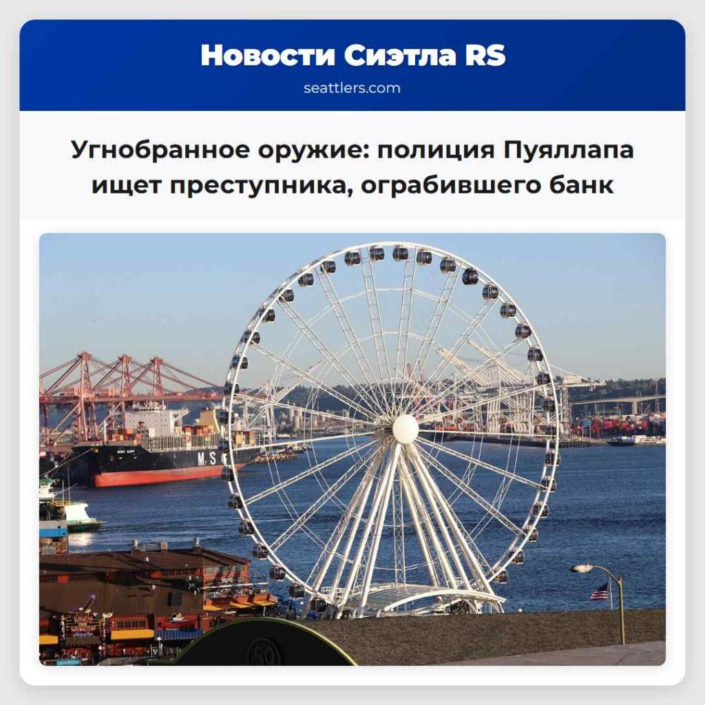 Угнобранное оружие: полиция Пуяллапа ищет