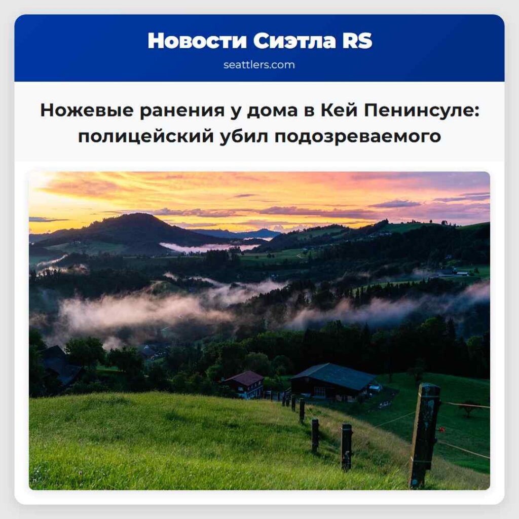 Ножевые ранения у дома в Кей Пенинсуле: