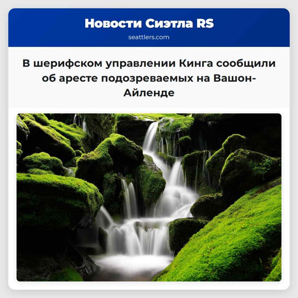 В шерифском управлении Кинга сообщили об аресте