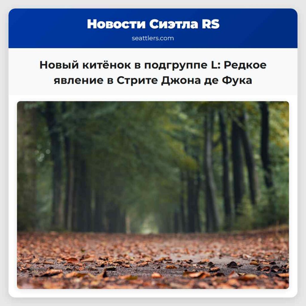 Новый китёнок в подгруппе L: Редкое явление в