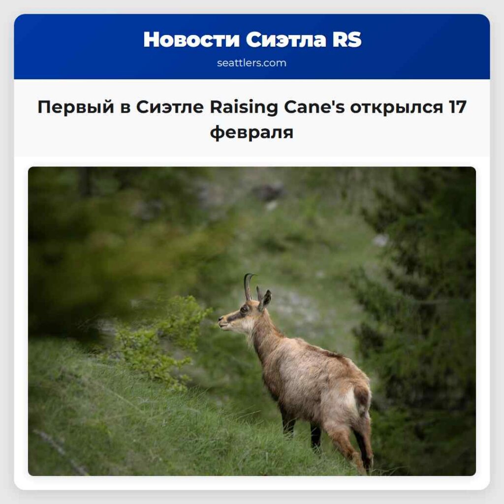 Первый в Сиэтле Raising Cane's открылся 17 февраля