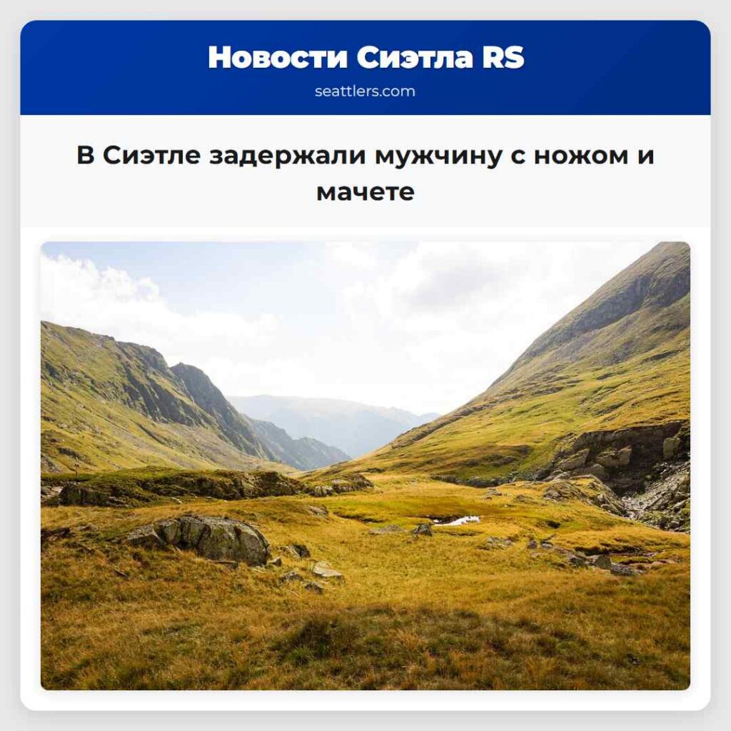 В Сиэтле задержали мужчину с ножом и мачете