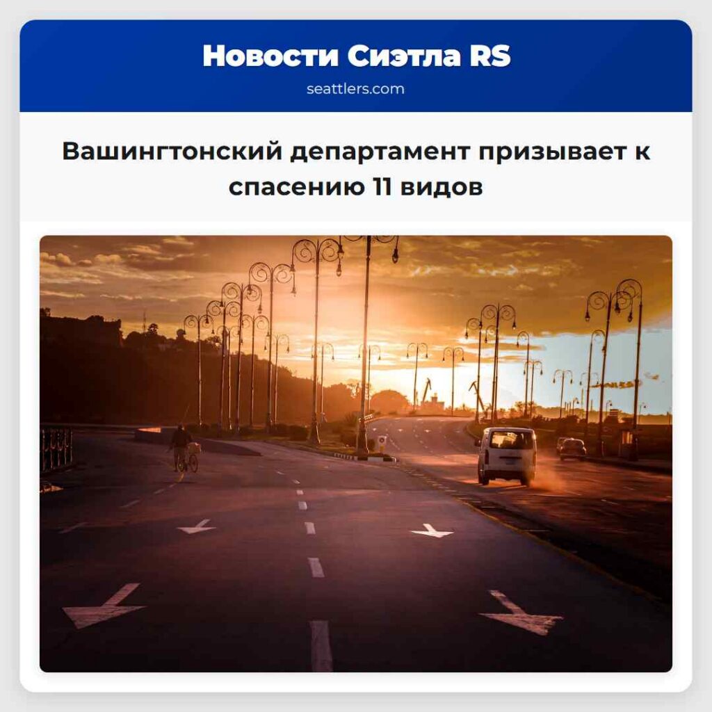 Вашингтонский департамент призывает к спасению 11