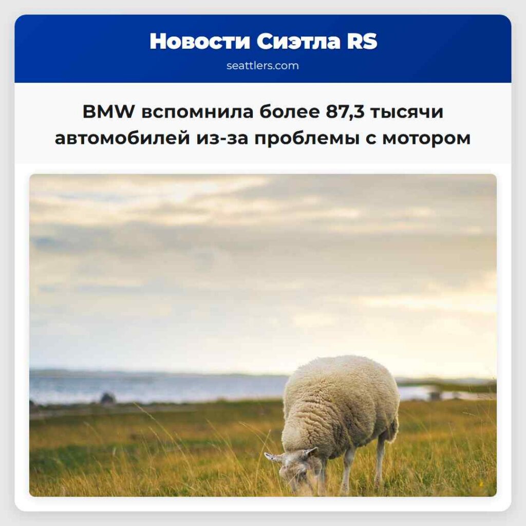 BMW вспомнила более 87,3 тысячи автомобилей из-за