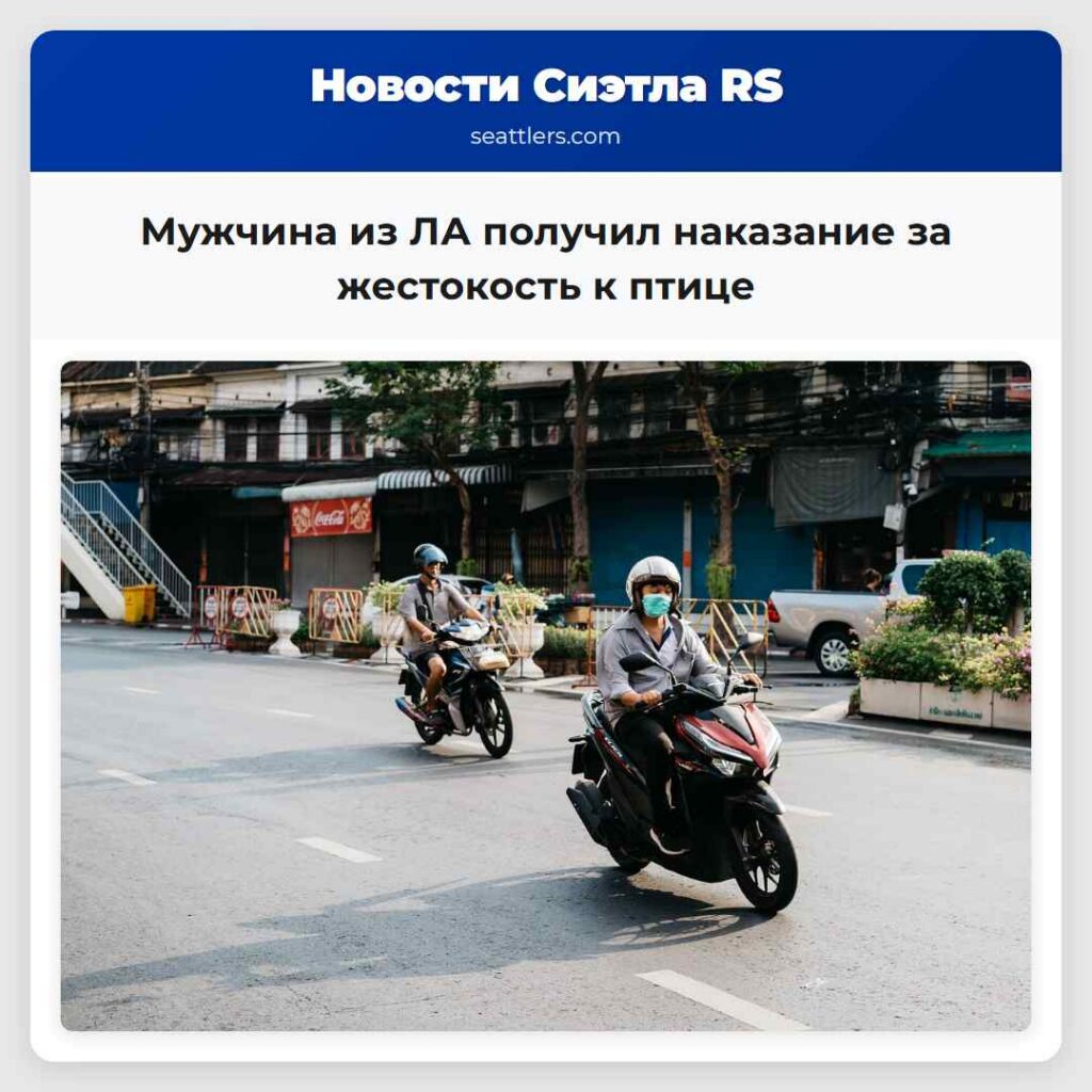 Мужчина из ЛА получил наказание за жестокость к