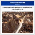 Сони Джаргенсен выдающийся квотербек вошедший в Зал славы скончался в возрасте 91 года