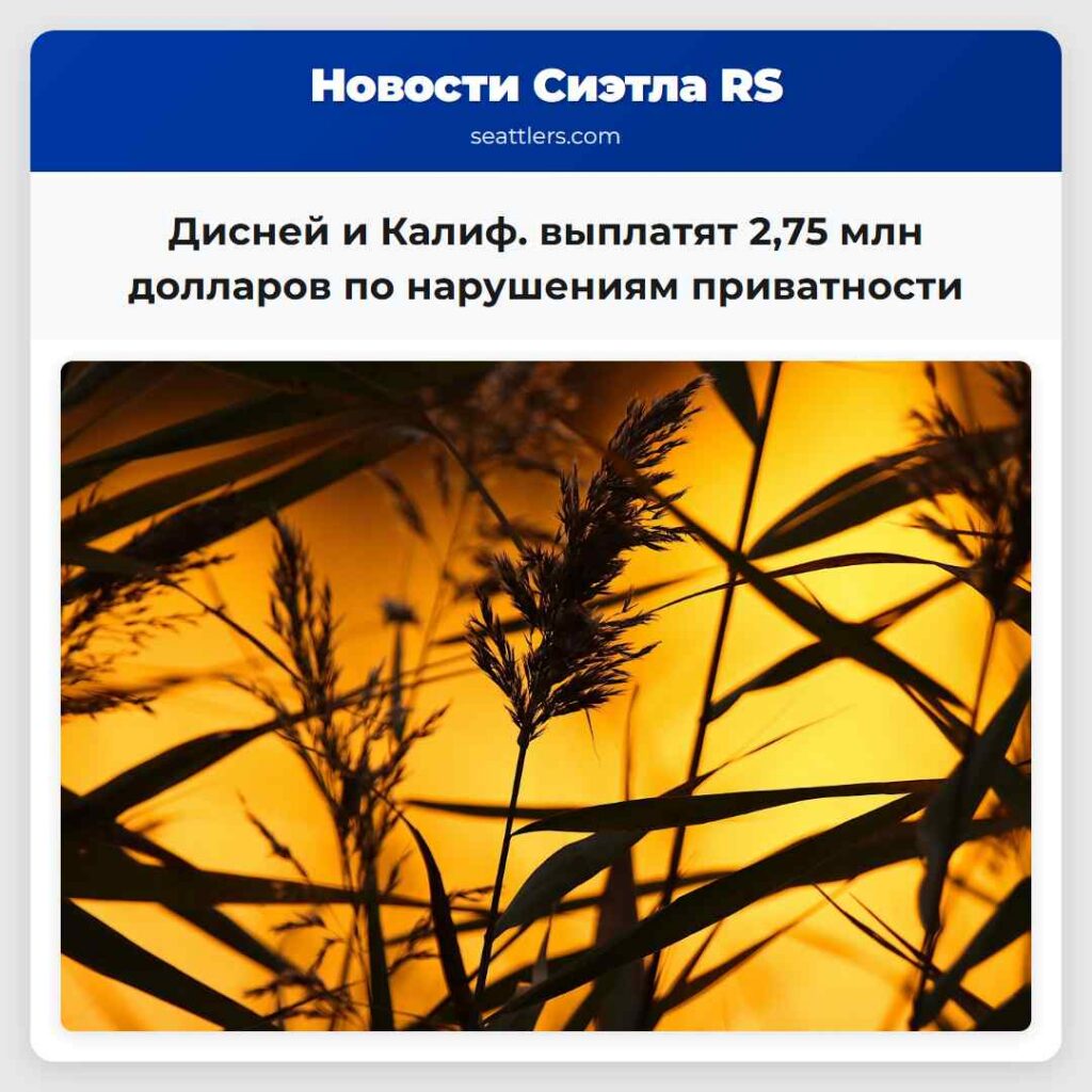 Дисней и Калиф. выплатят 2,75 млн долларов по