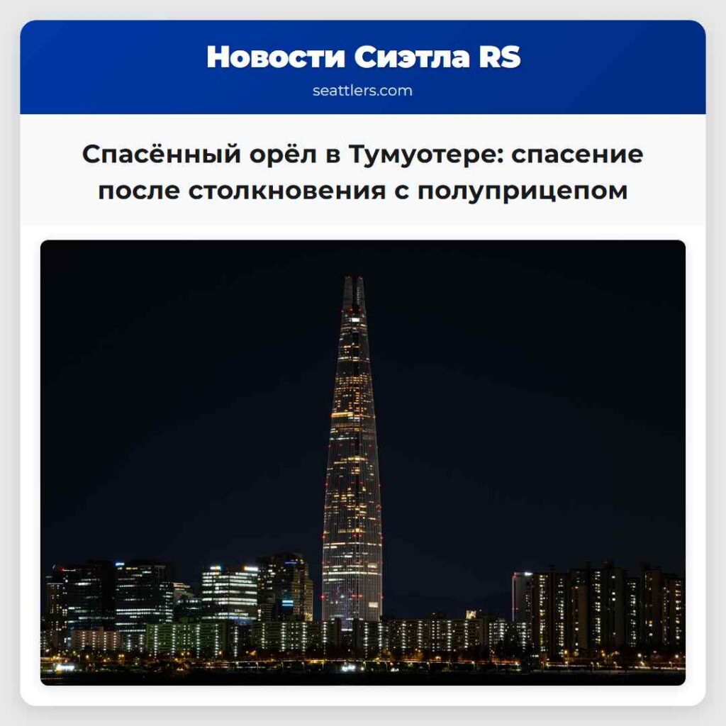 Спасённый орёл в Тумуотере: спасение после