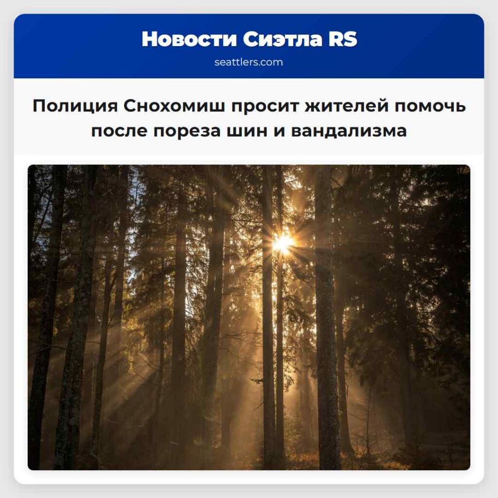 Полиция Снохомиш просит жителей помочь после