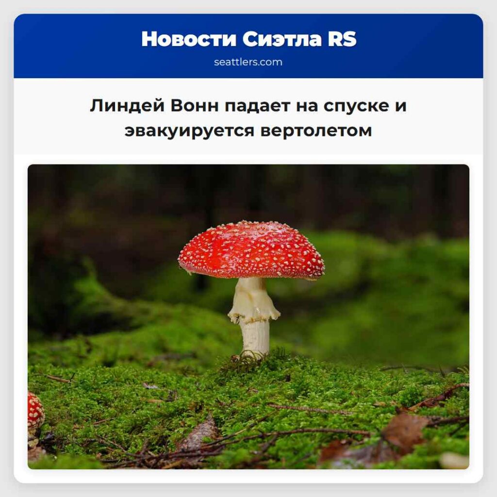 Линдей Вонн падает на спуске и эвакуируется