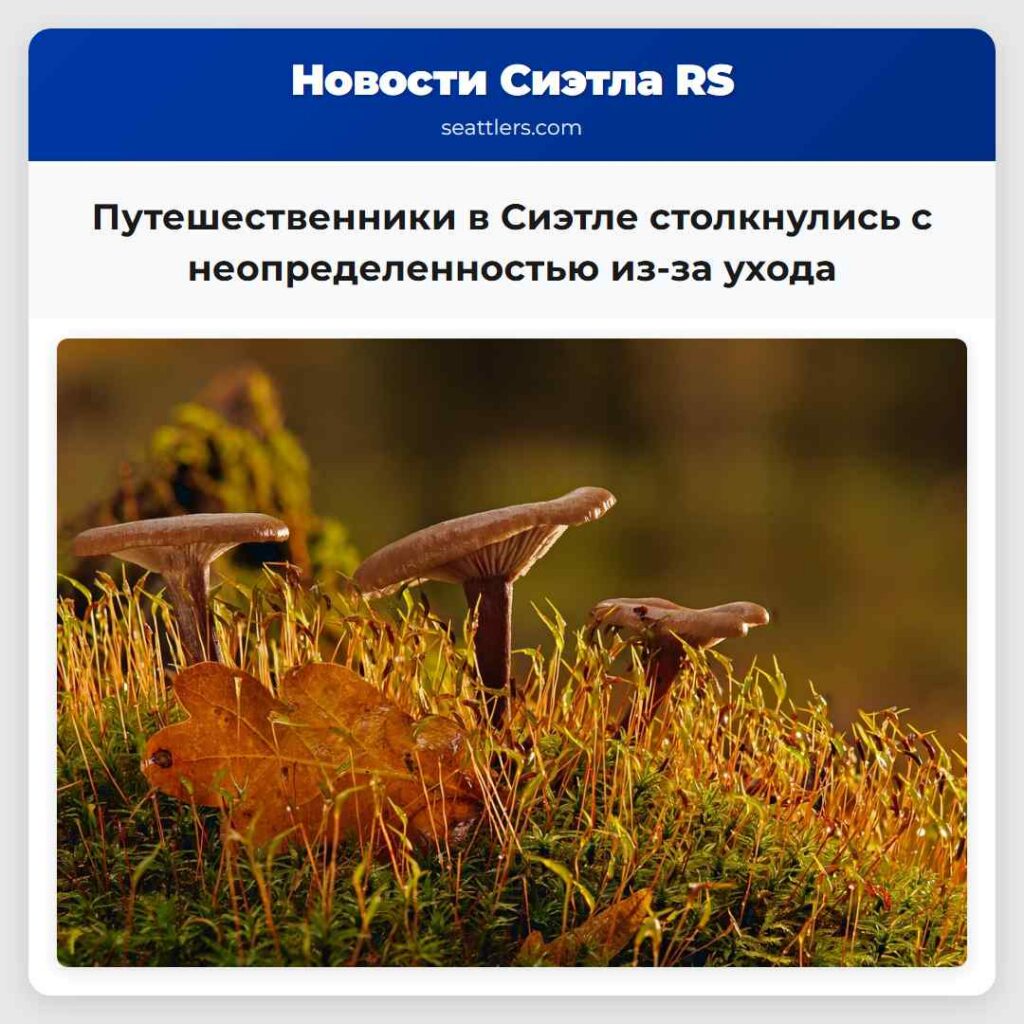 Путешественники в Сиэтле столкнулись с