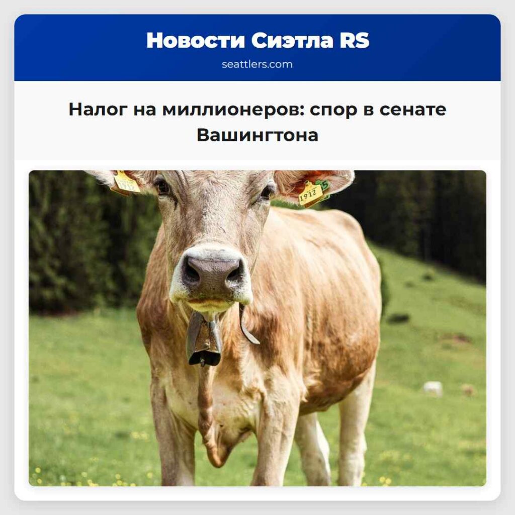 Налог на миллионеров: спор в сенате Вашингтона