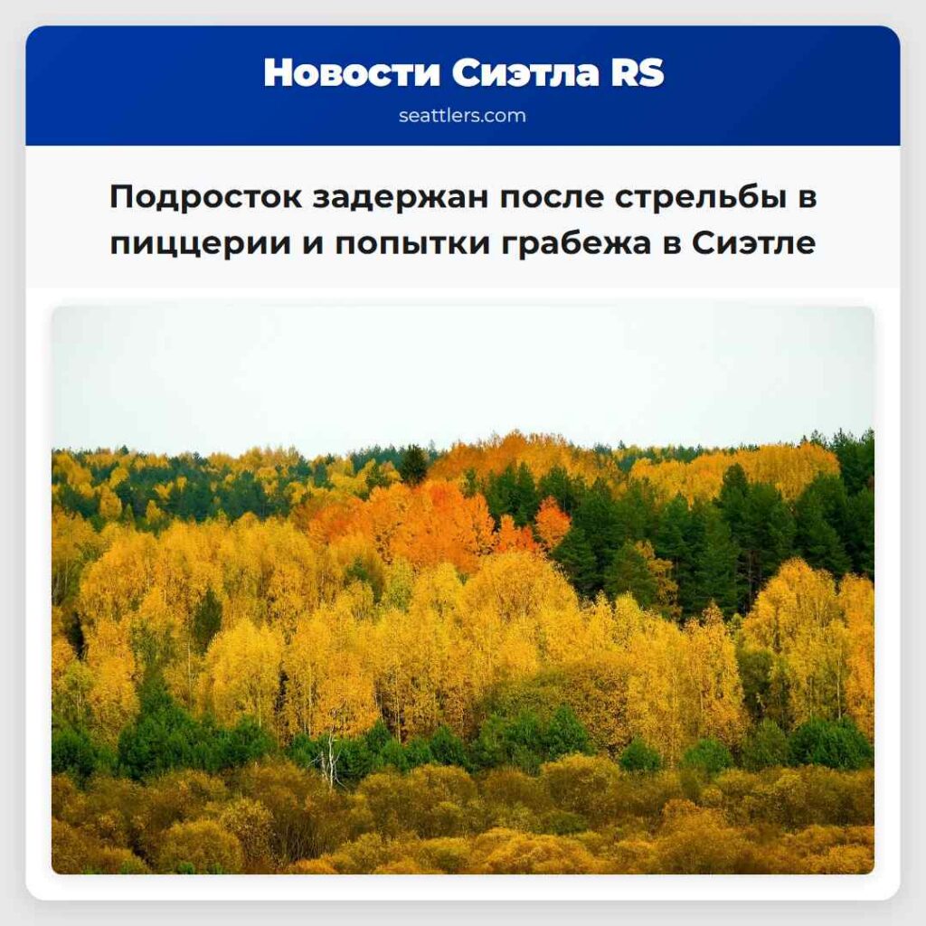 Подросток задержан после стрельбы в пиццерии и