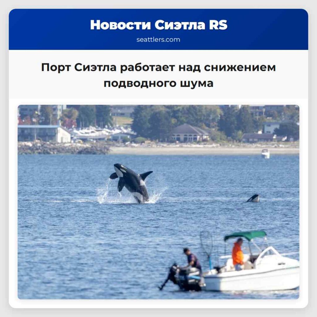 Порт Сиэтла работает над снижением подводного шума