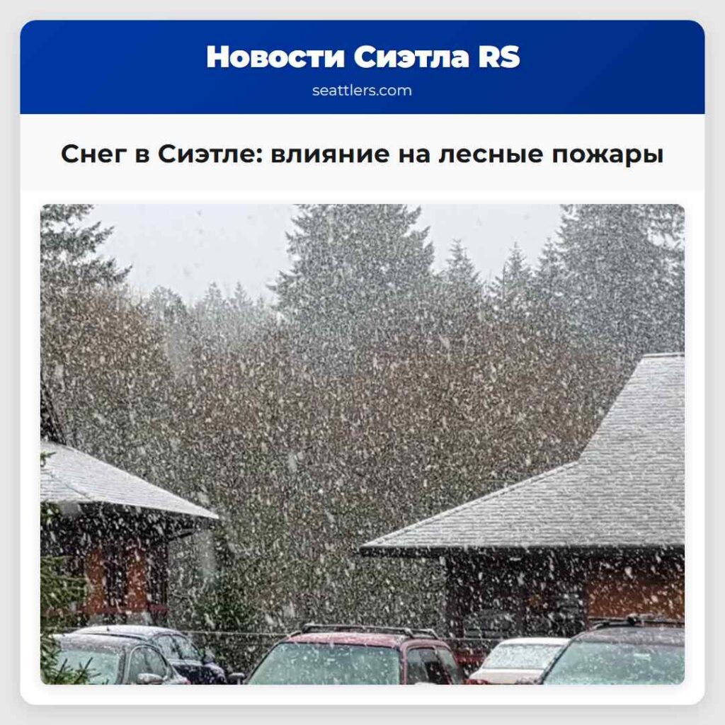 Снег в Сиэтле: влияние на лесные пожары