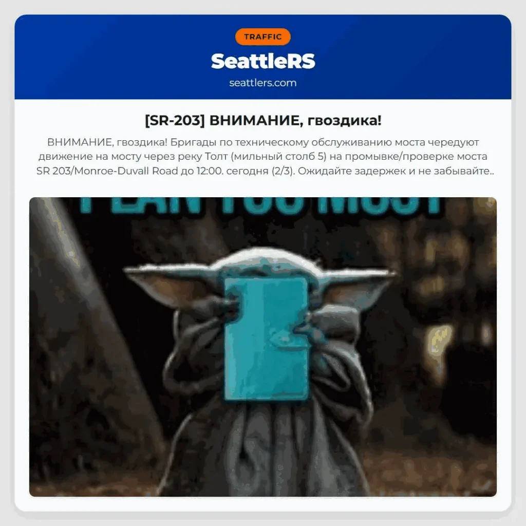 [SR-203] ВНИМАНИЕ, гвоздика!