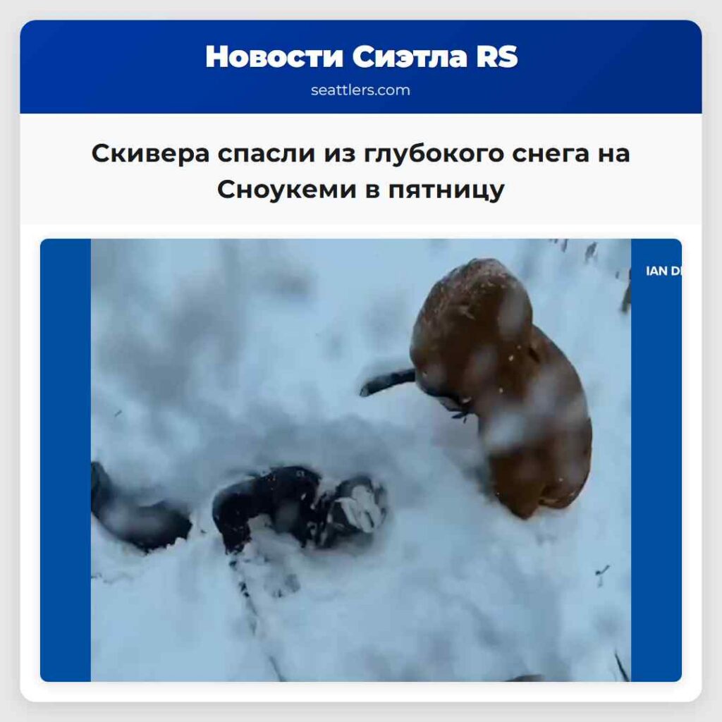 Скивера спасли из глубокого снега на Сноукеми в