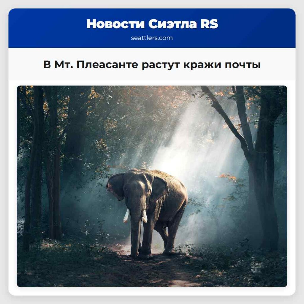 В Мт. Плеасанте растут кражи почты