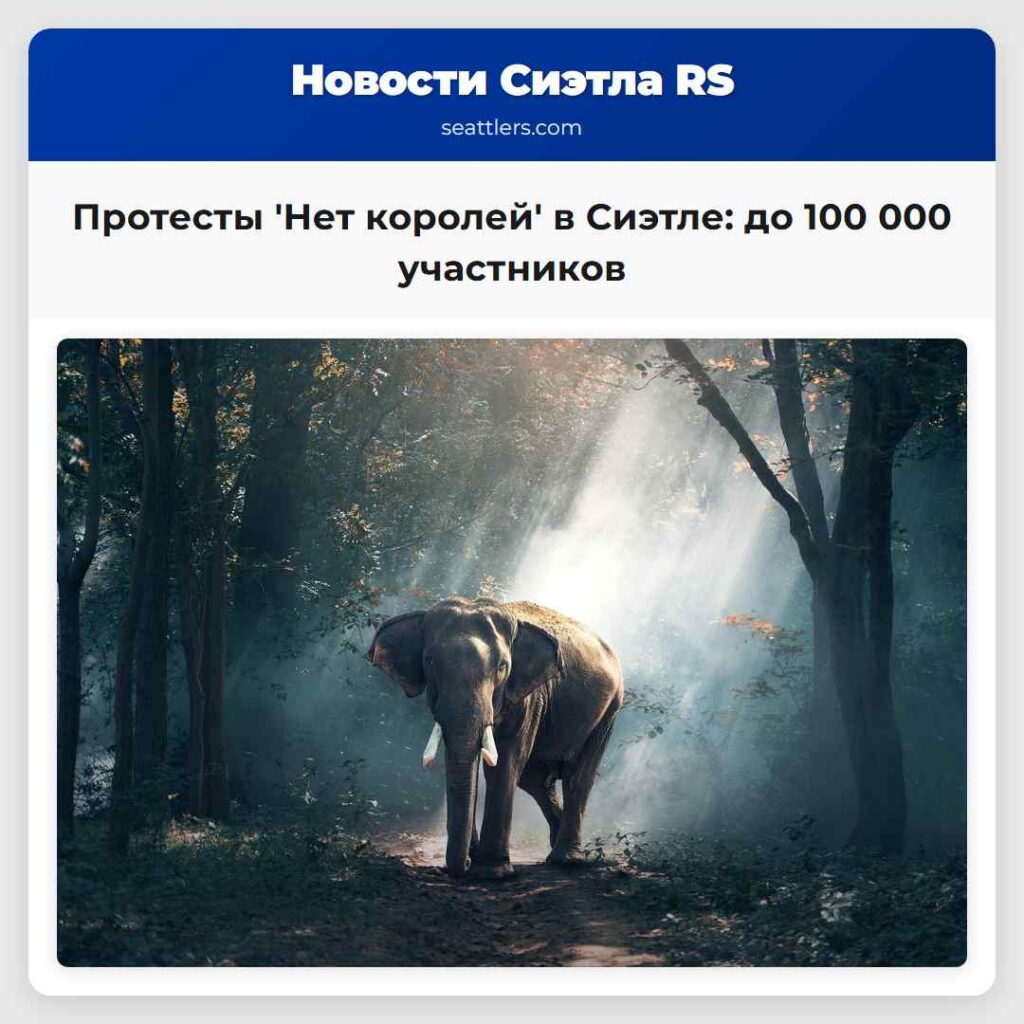Протесты 'Нет королей' в Сиэтле: до 100 000