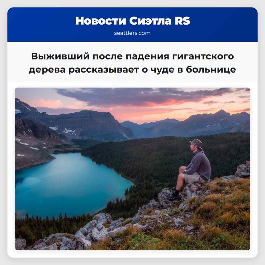 Выживший после падения гигантского дерева