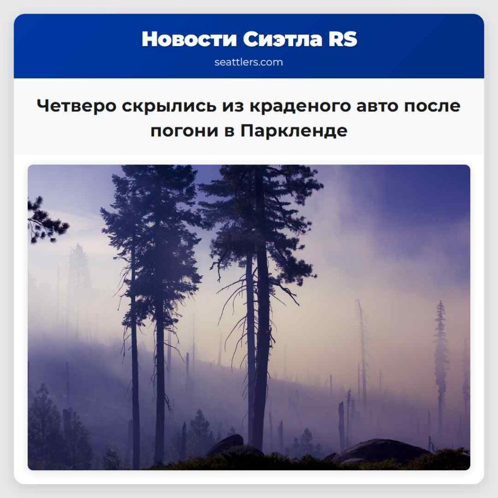 Четверо скрылись из краденого авто после погони в