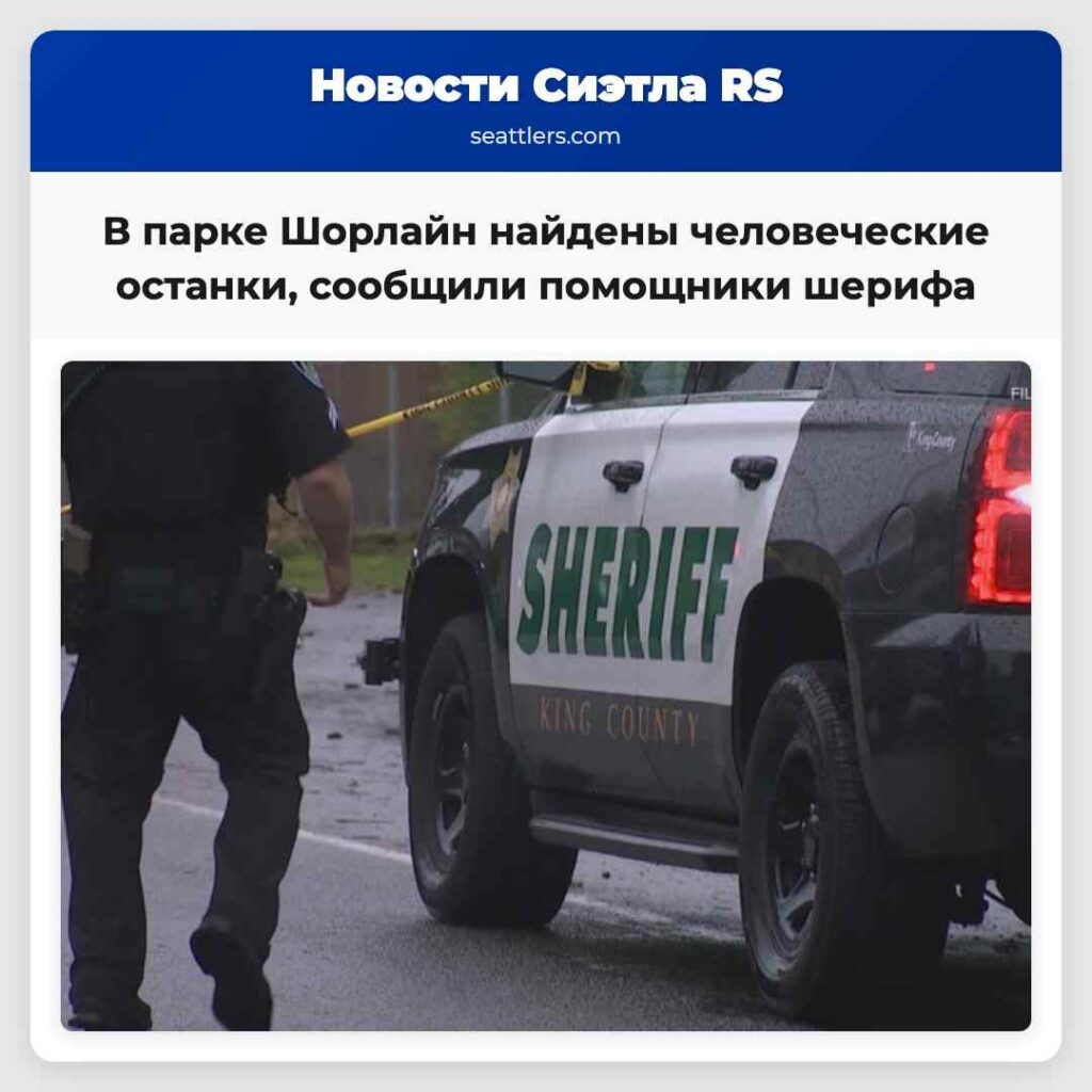 В парке Шорлайн найдены человеческие останки,