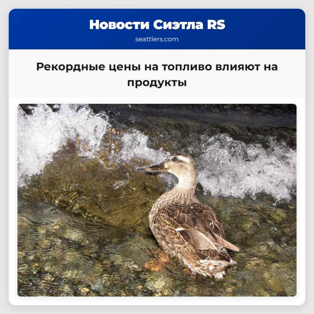 Рекордные цены на топливо влияют на продукты