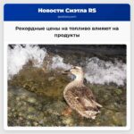 Рекордные цены на дизельное топливо начинают влиять на стоимость продуктов
