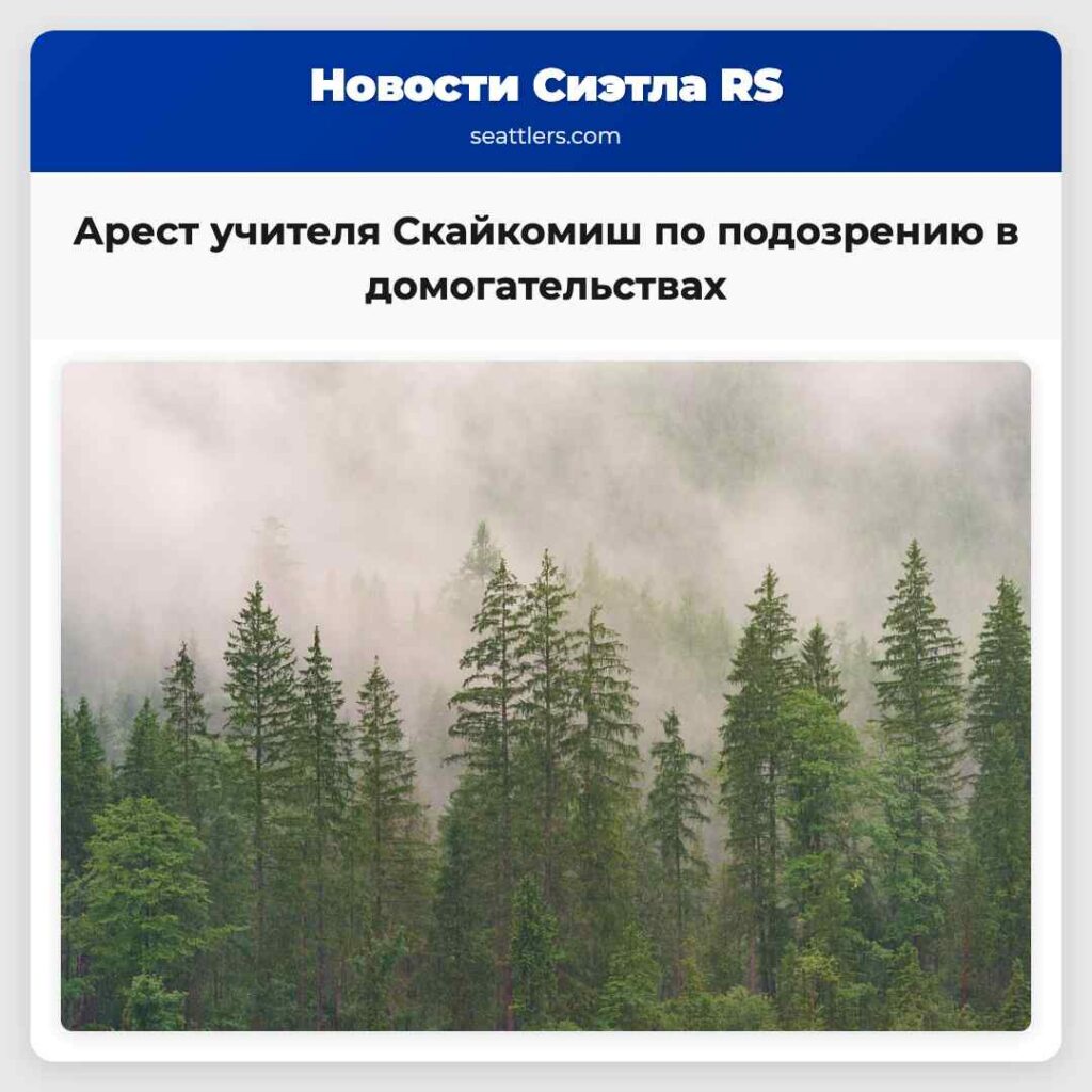 Арест учителя Скайкомиш по подозрению в