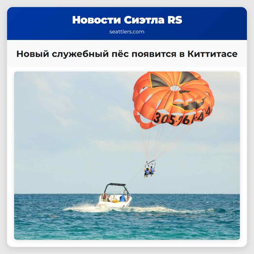 Новый служебный пёс появится в Киттитасе