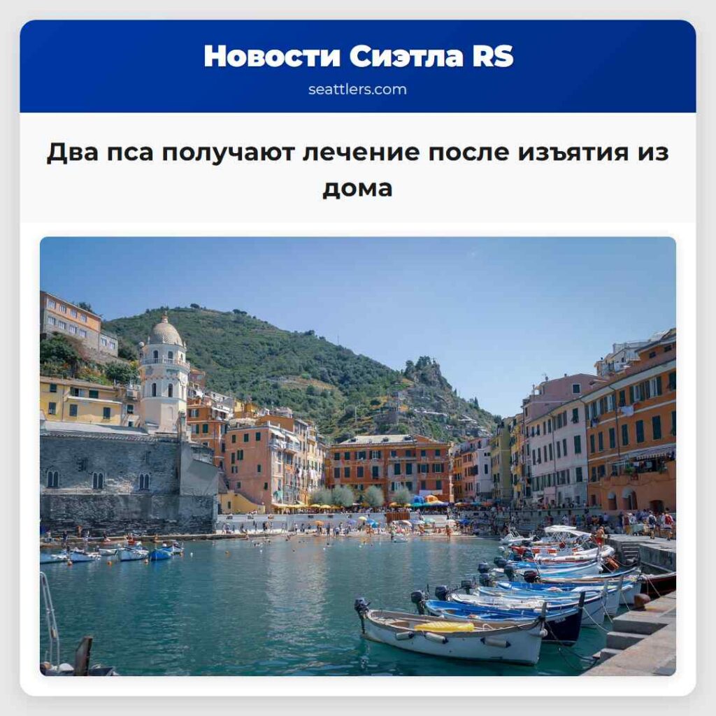 Два пса получают лечение после изъятия из дома